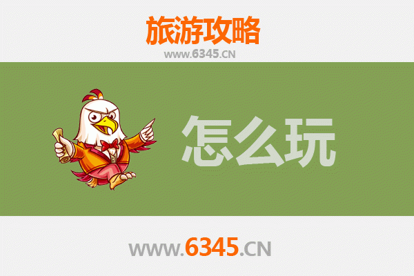 南宁宾阳节假日游玩全攻略：炮龙节狂欢与古韵风情体验